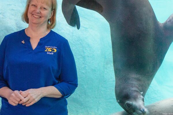 Pat Simmons, North Carolina Years-long Of Cancer Battle : Pat Simmons remembered as a beloved leader whose compassion, wisdom, and legacy transformed wildlife conservation forever – Read the full story